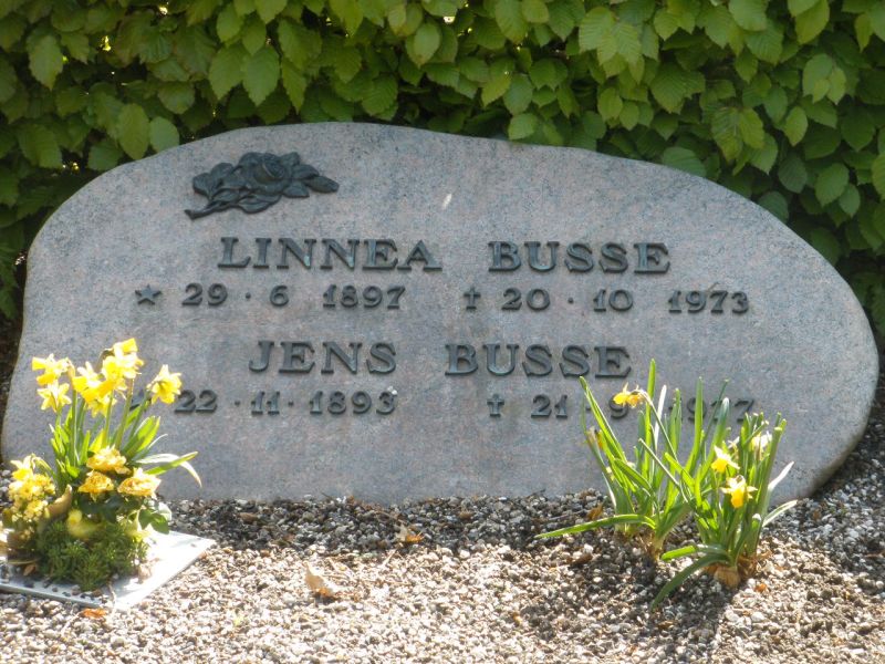 Linnea Busse.JPG